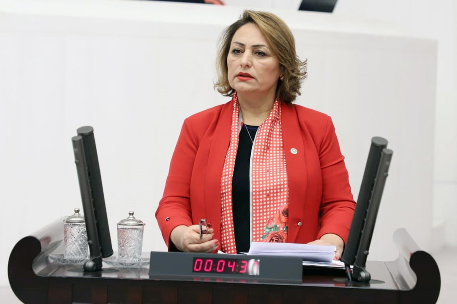 CHP’li Şevkin, Plan ve Bütçe Komisyonu’nda emekli maaşlarına tepki gösterdi