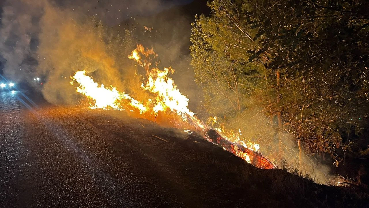 Kozan’da yol kenarındaki ağaçlık alanda yangın çıktı