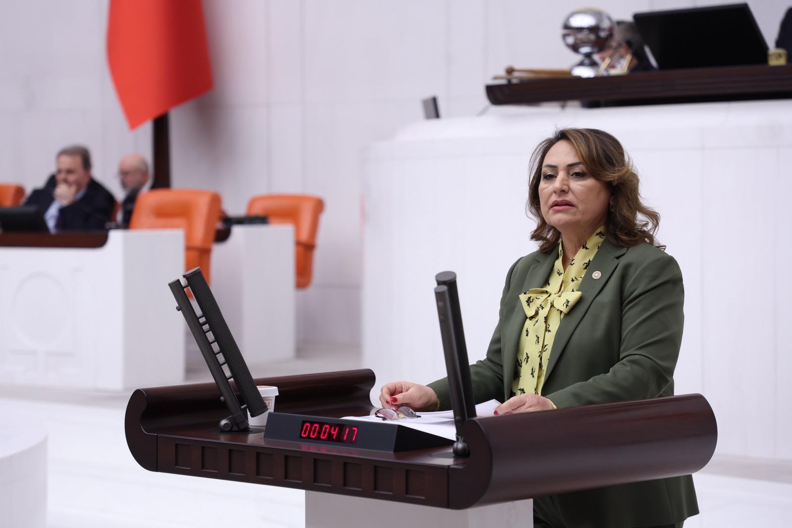 Müzeyyen Şevkin; "Tufanbeyli, Saimbeyli, Feke ve Aladağ, iktidardan hizmet bekliyor"