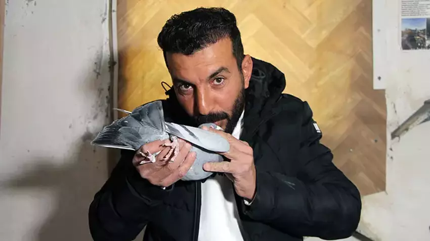 Kayıp posta güvercini için 75 bin TL ödül