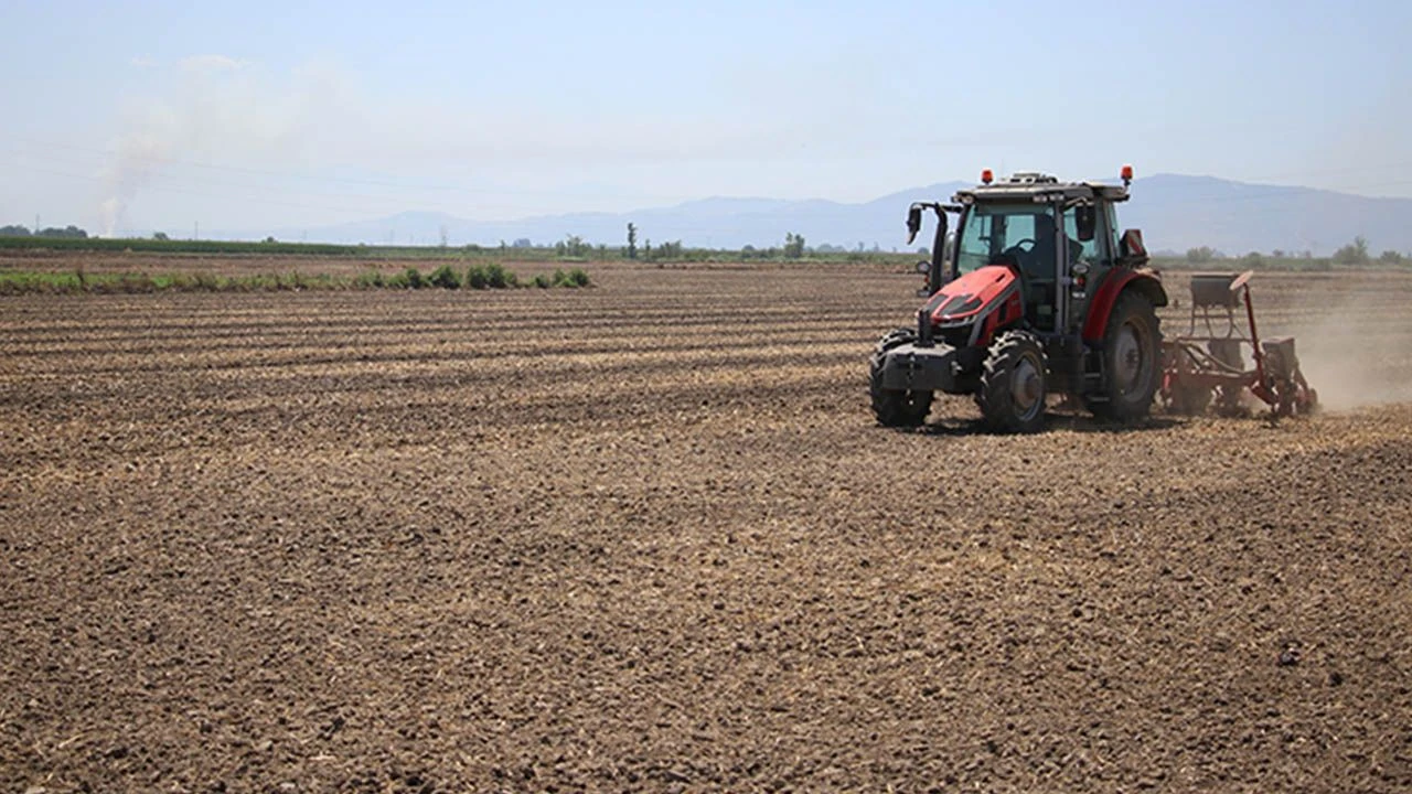 Adana’da hangi ürün arttı, hangisi düştü? TÜİK verileriyle tarım analizi