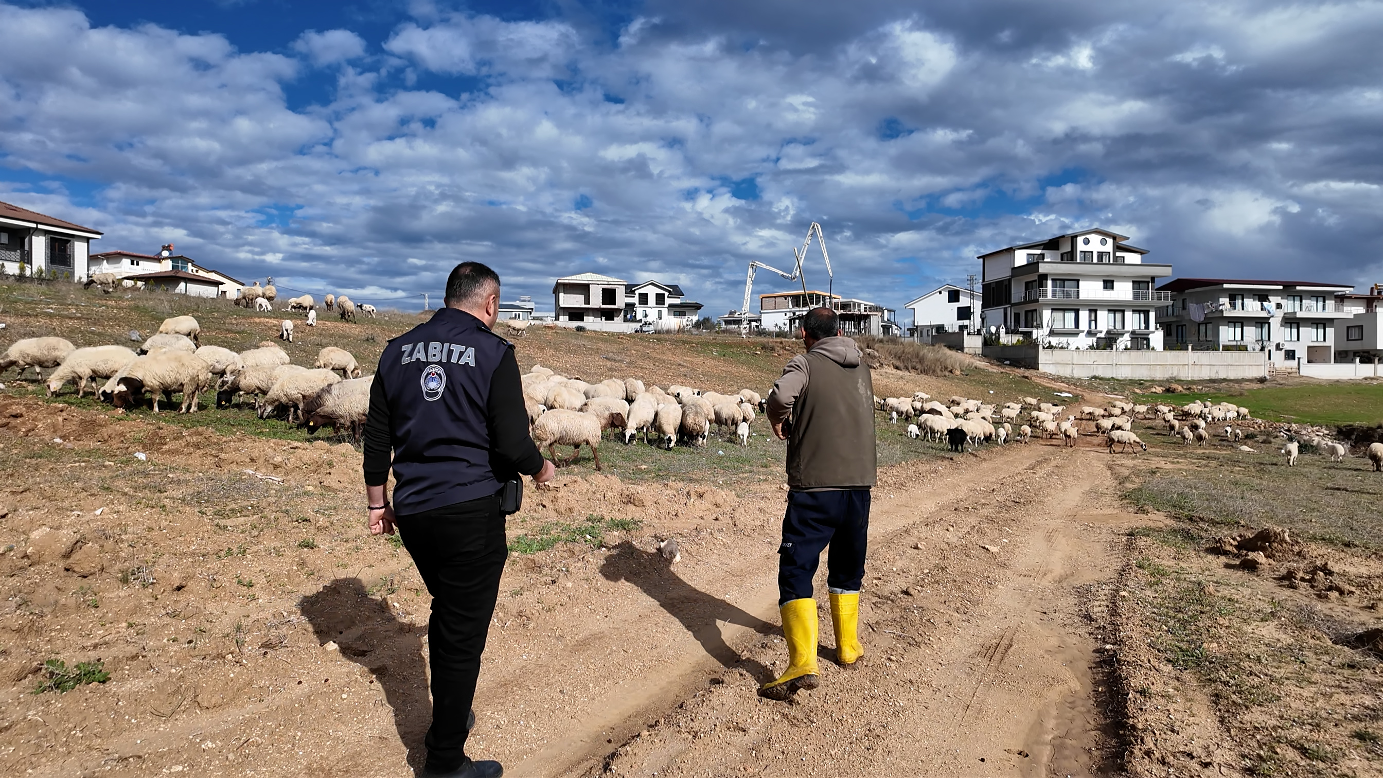 Sarıçam'da kent estetiğini bozan hayvancılık yapıları taşınıyor