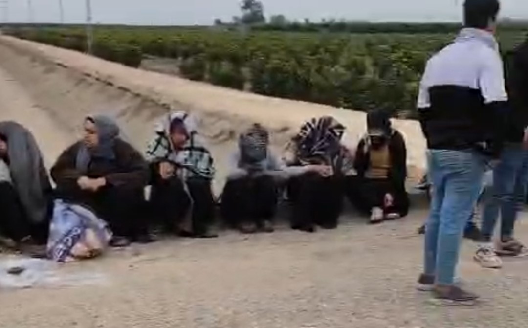 Adana'da trafik kazası: 1'i ağır 7 tarım işçisi yaralandı