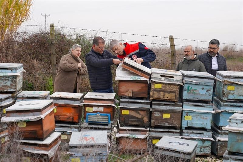 Yağmur arı yetiştiricilerini vurdu