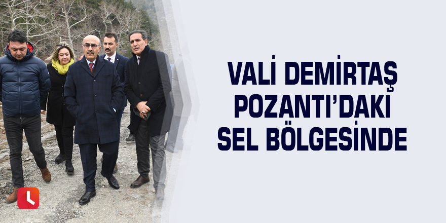 Vali Demirtaş Pozantı’daki sel bölgesinde