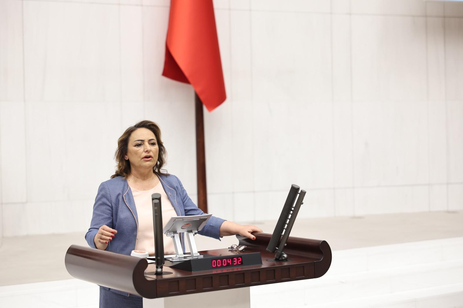 Müzeyyen Şevkin "Emeklilerin bayram ikramiyesi asgari ücrete endekslensin"