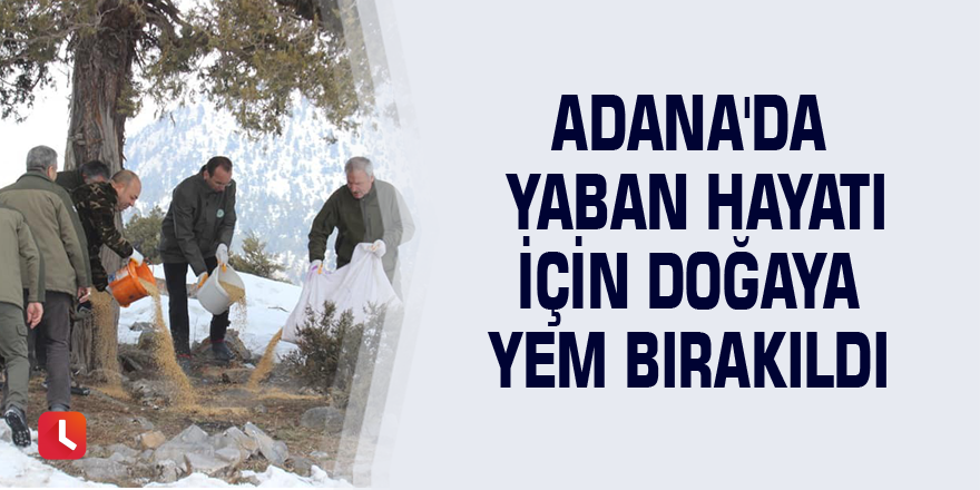 Adana'da yaban hayatı için doğaya yem bırakıldı