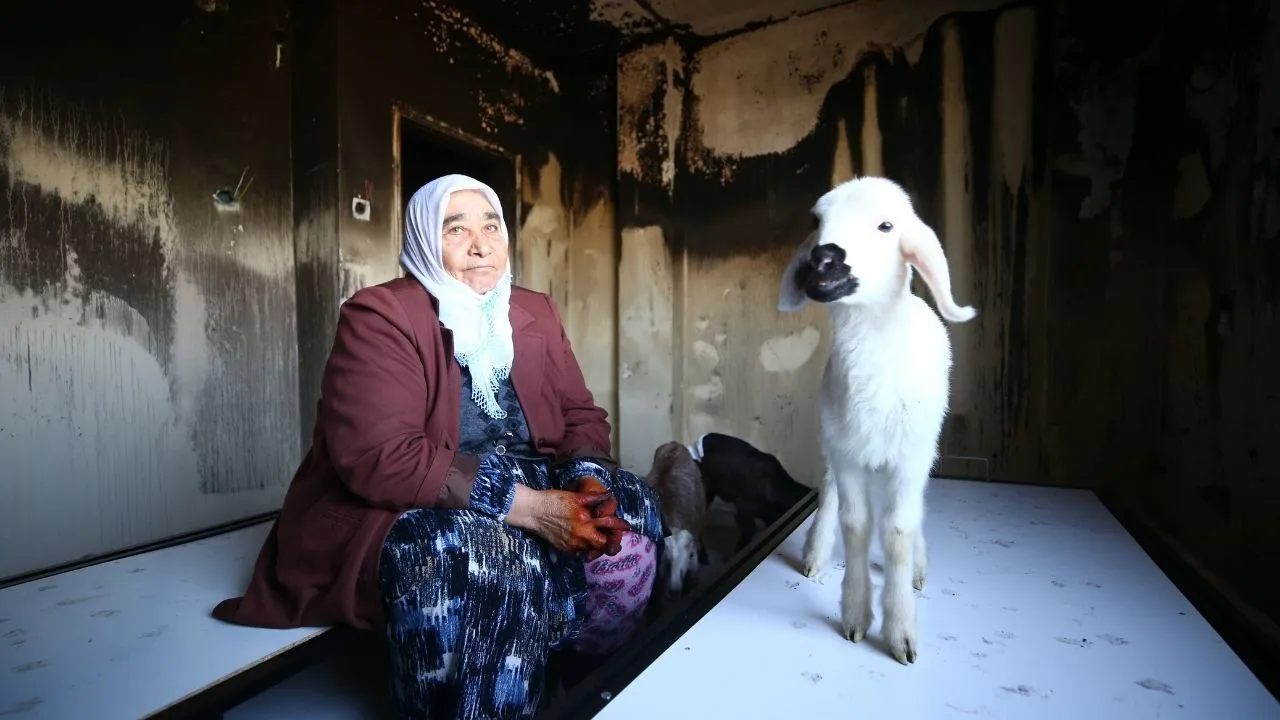 Şehit annesinin evinde yangın: Oğlak ve kuzu itfaiye ekiplerince kurtarıldı