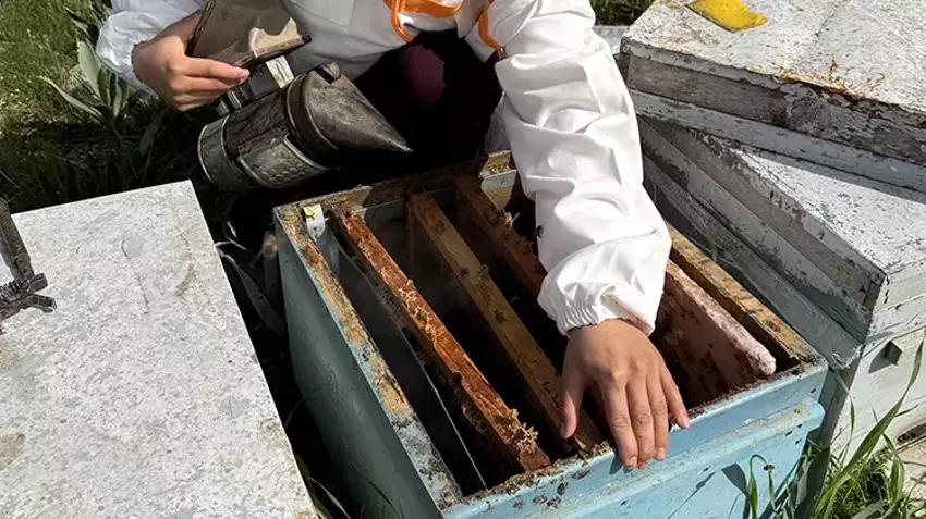 Adanalı genç kız baba mesleğine sahip çıktı! Devletten aldığı destekle işleri iki kat büyüttü