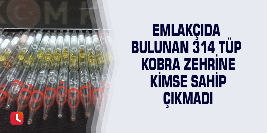 Emlakçıda bulunan 314 tüp kobra zehrine kimse sahip çıkmadı