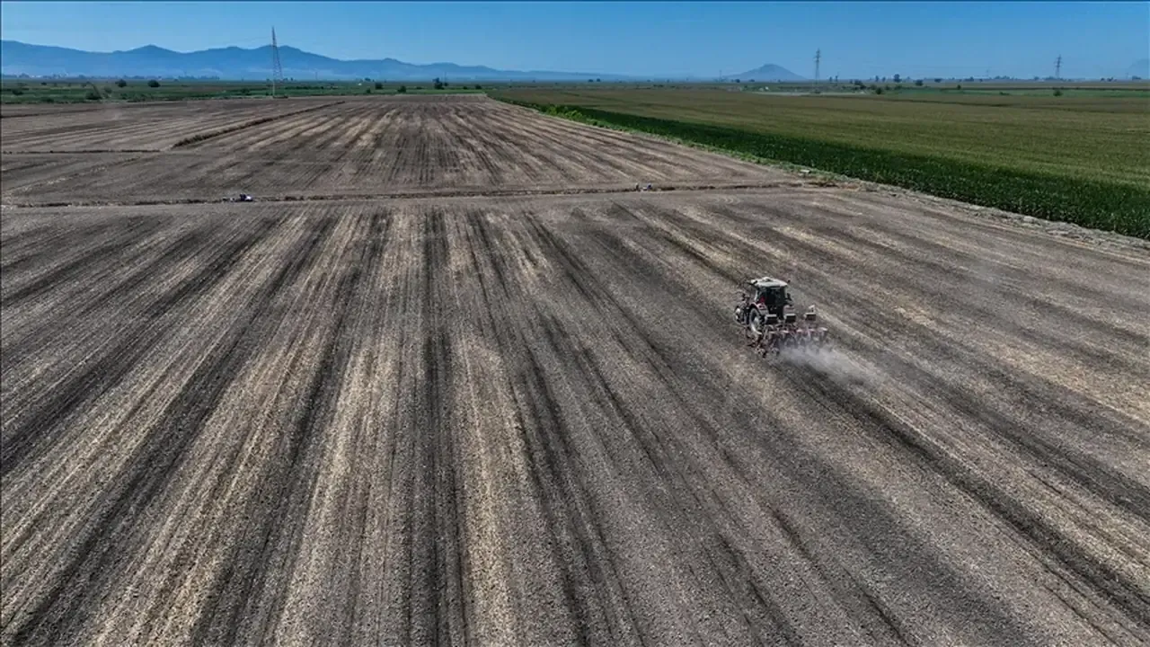 Adana’da sert çekirdekli meyve bahçelerinde karantina taraması başlatıldı