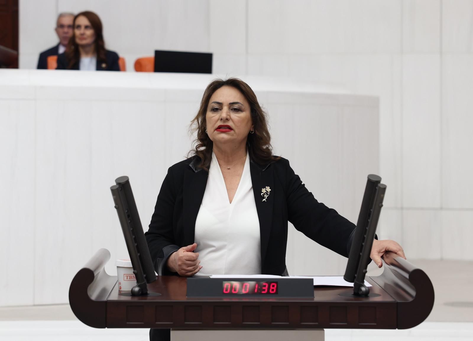 Müzeyyen Şevkin: "0850 terörüne meclis el atmalıdır"