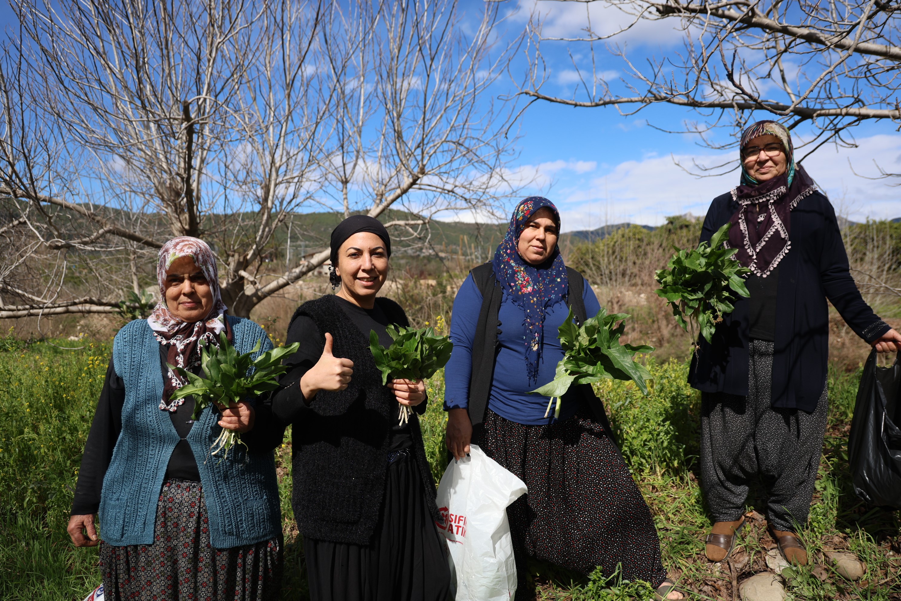 Doğadaki zehirli ot kara kazanda şifaya dönüşüyor