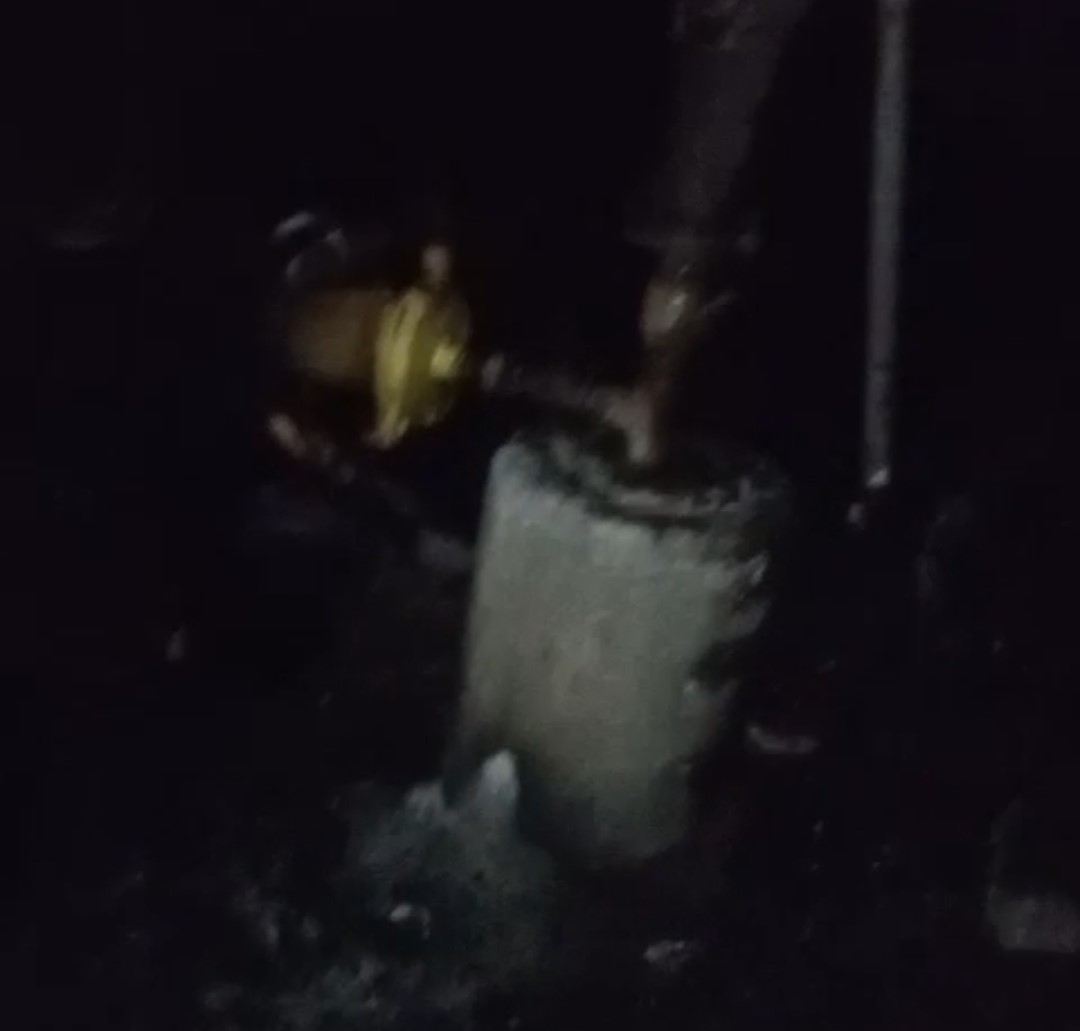 Adana'da 40 güvercin yangında telef oldu