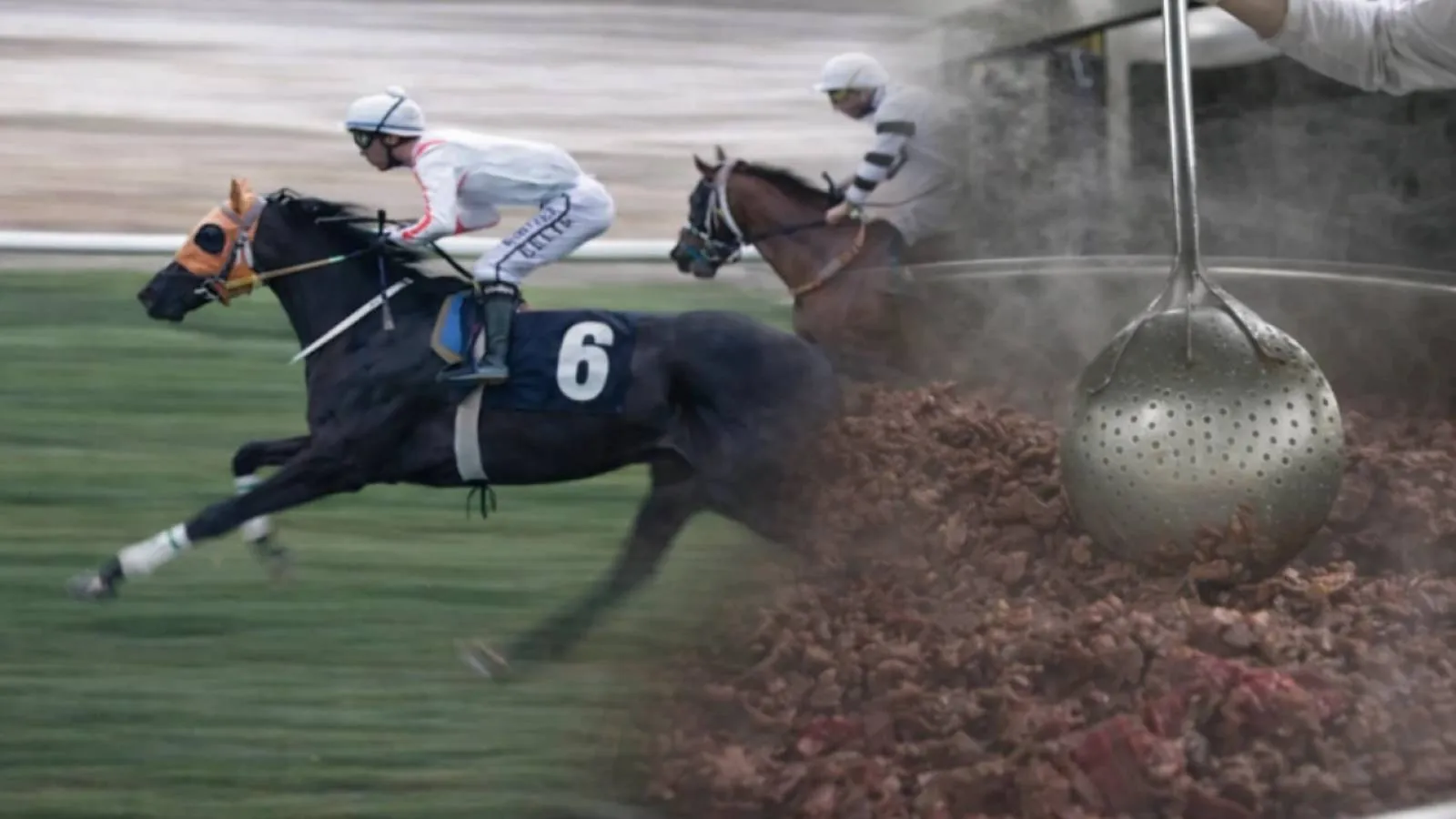 Adana’da sakatlanan yarış atı, Mersin’de kavurma olarak ortaya çıktı!