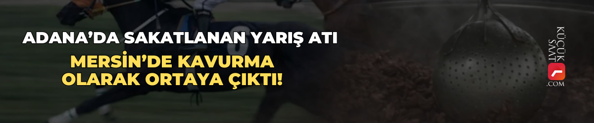 Adana’da sakatlanan yarış atı, Mersin’de kavurma olarak ortaya çıktı!