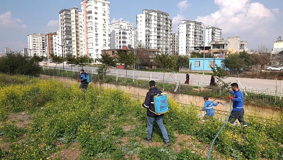 Fevzipaşa’da larva ile mücadelede yoğun mesai