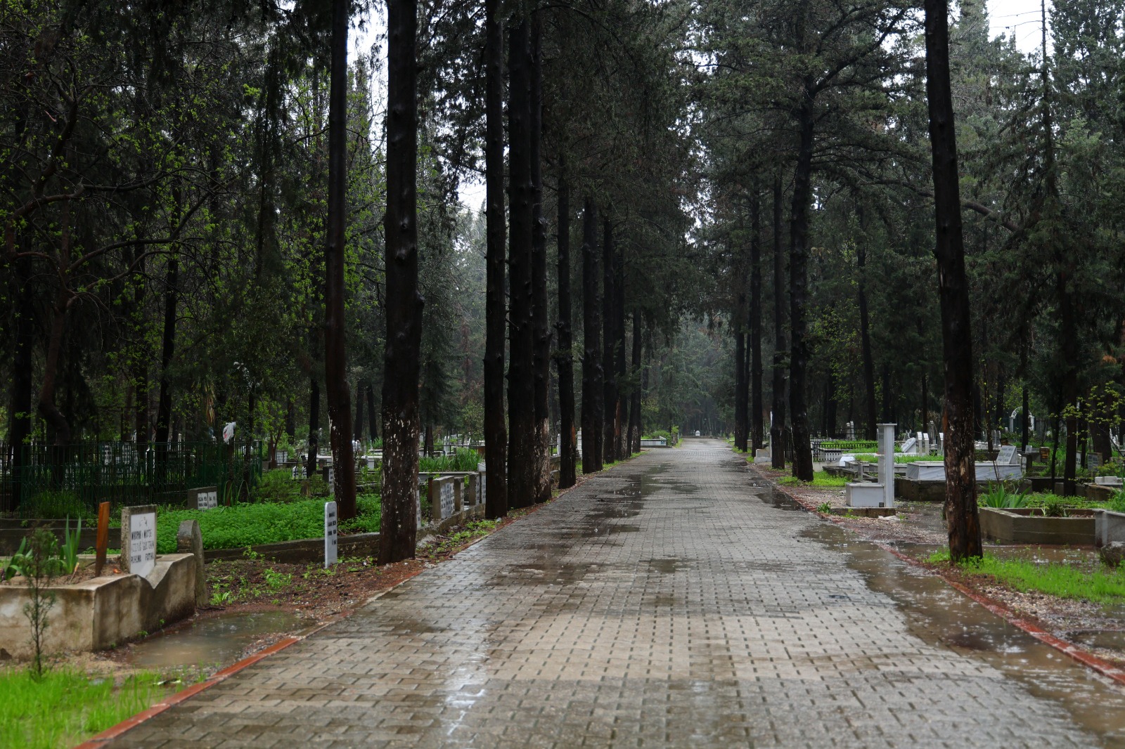 Adana'da şiddetli yağış nedeniyle arife günü mezarlıklar boş kaldı