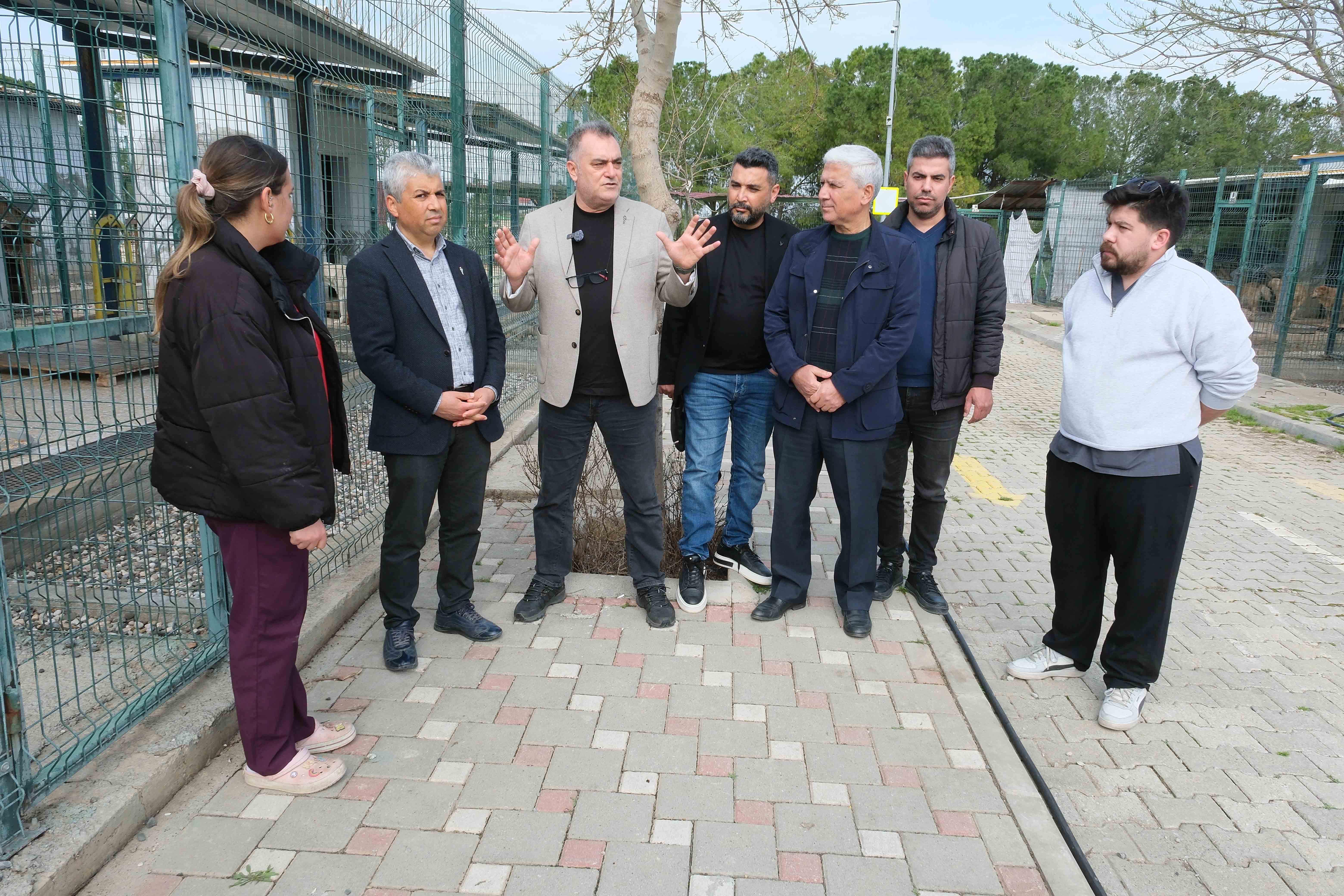 Veteriner Hekimler Odası’ndan barınak iddialarına yanıt