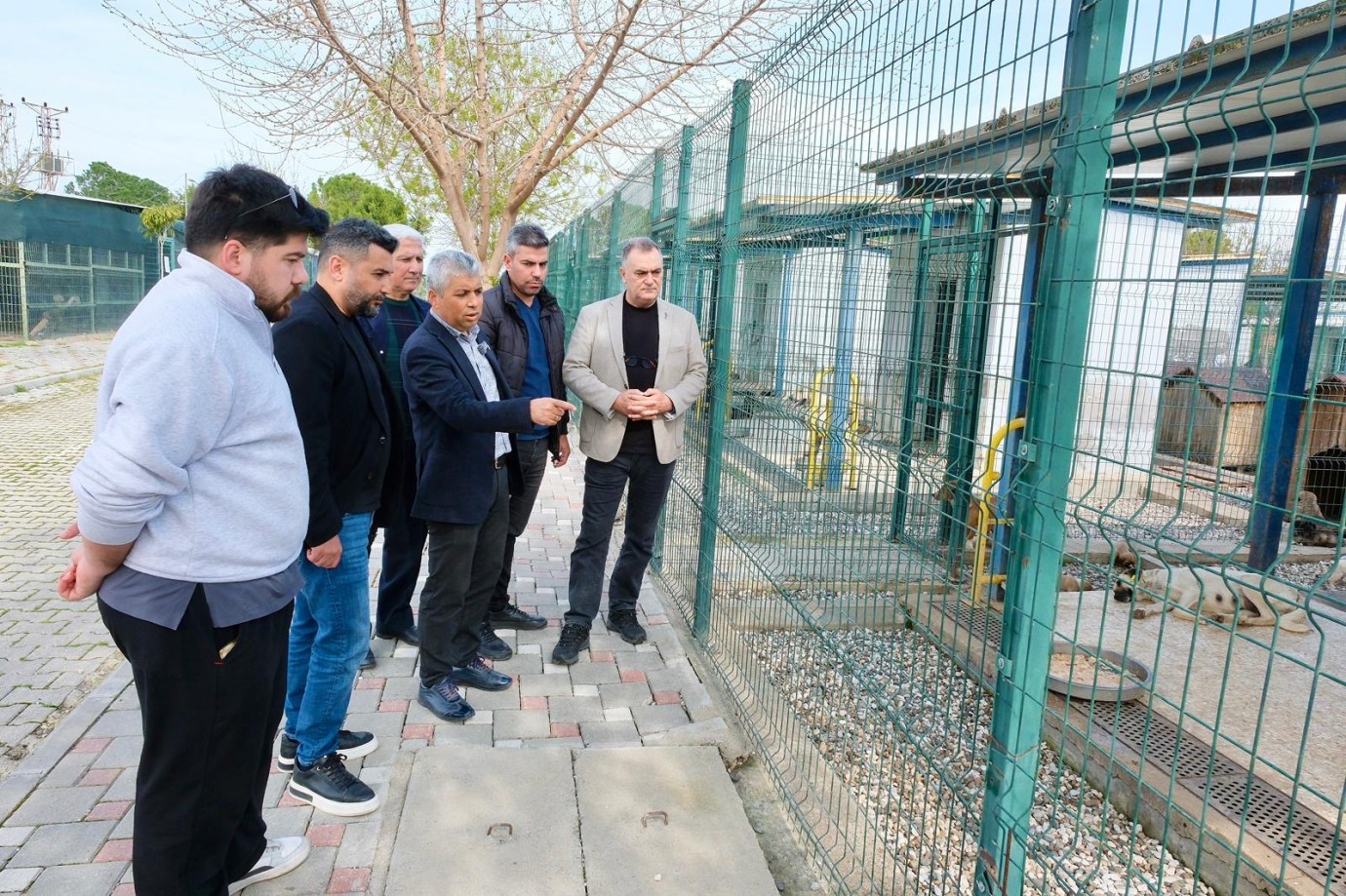 Adana Veteriner Hekimleri Odası Başkanı Üzeyir Can, yavru köpeklerin birbirini yediği iddialarına yanıt verdi