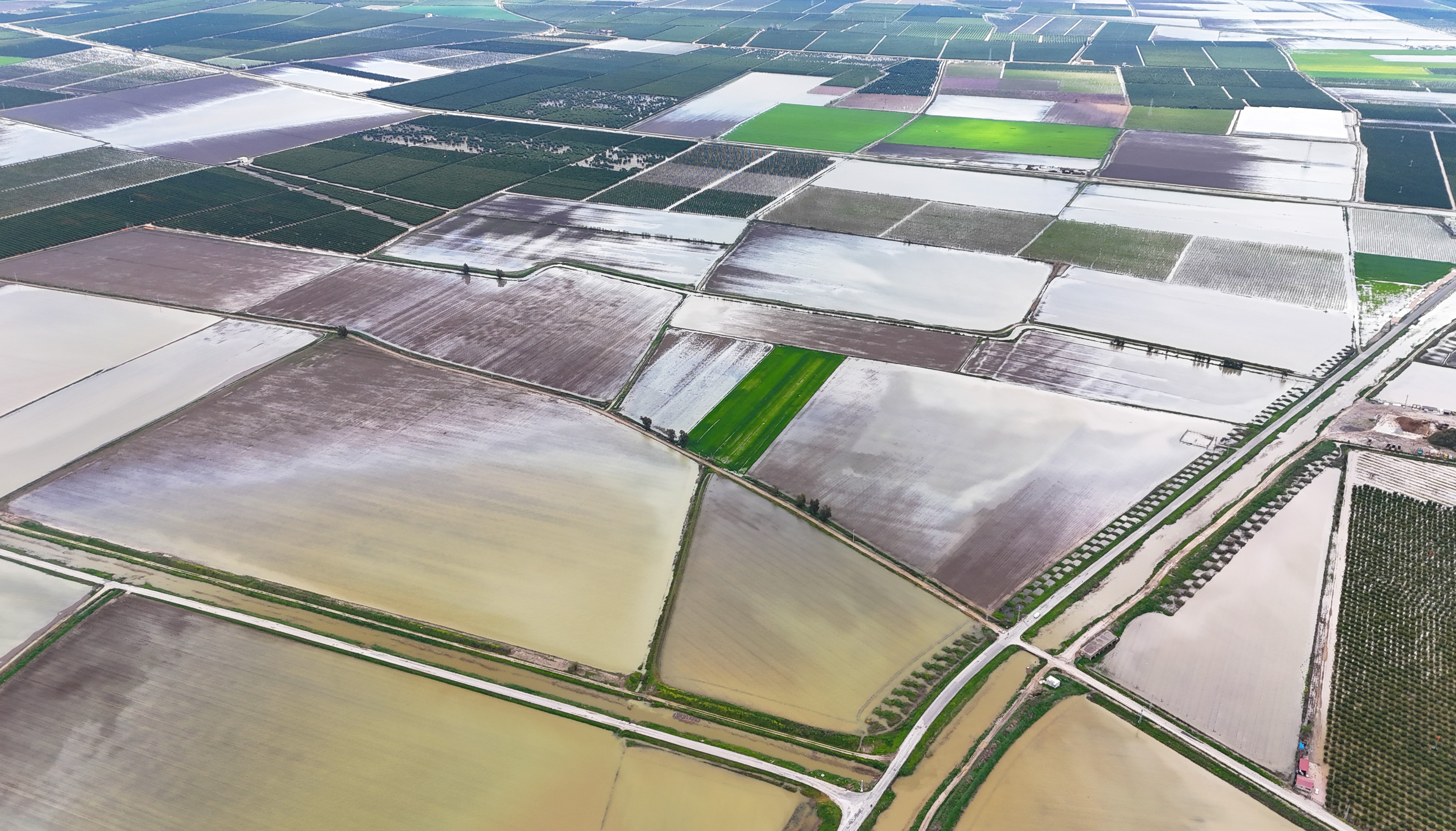 Çukurova'yı yağmur vurdu: Tarım arazileri sular altında