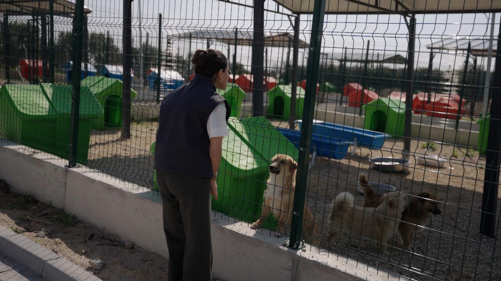 Ceyhan Belediyesi’nden Patili Dostlara Doğal Yaşam Alanı