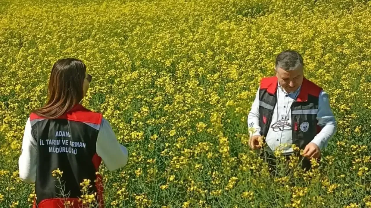 Sarıçam’da bitki sağlığı için sıkı denetim