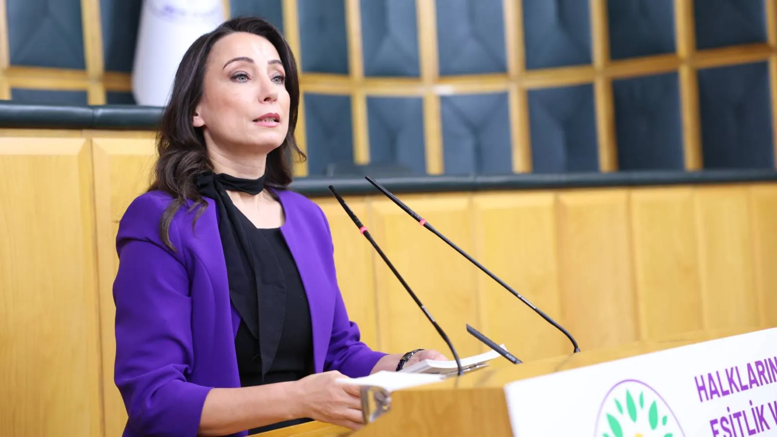 Tülay Hatimoğulları: Gazetecilik, halkın haber alma hakkını savunma mücadelesidir