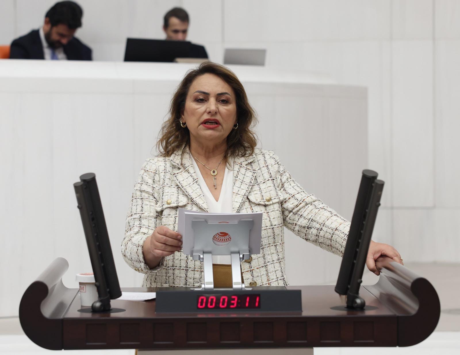 Müzeyyen Şevkin: "Cinayetlerin çözüm adresi meclistir"