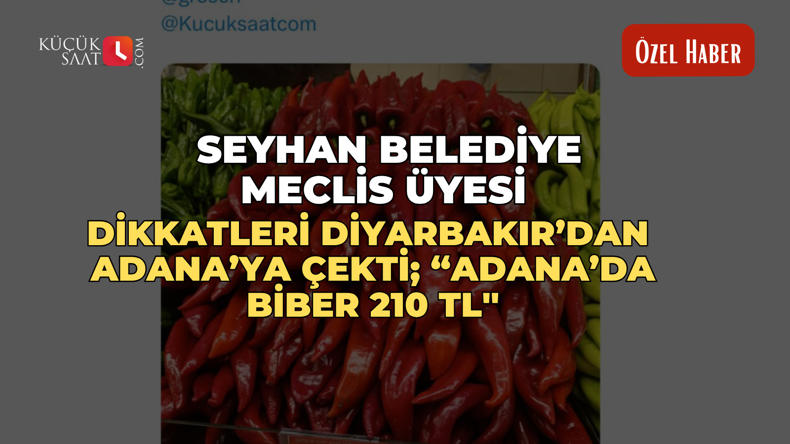 Seyhan Belediye Meclis Üyesi dikkatleri Diyarbakır’dan Adana’ya çekti; “Adana’da biber 210 TL''