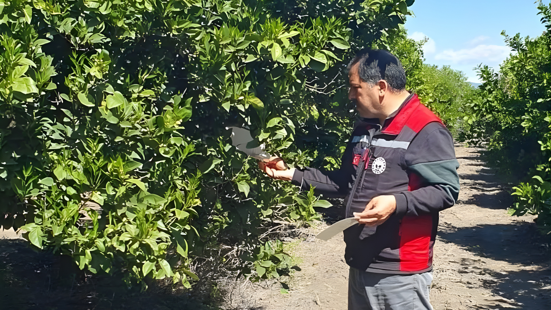Adana’da üretim alanları mercek altında