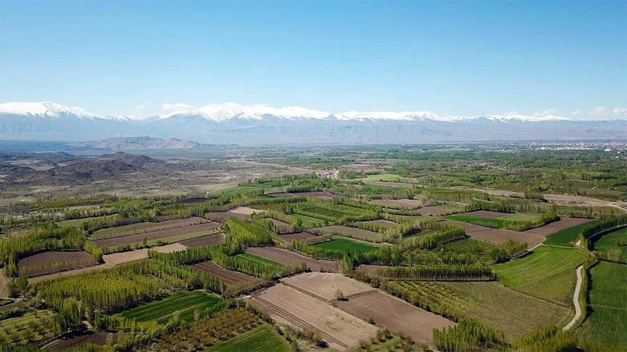 Adana'da üzerinde iki ev bulunan arsa icraya düştüğü için bu fiyata verilecek!