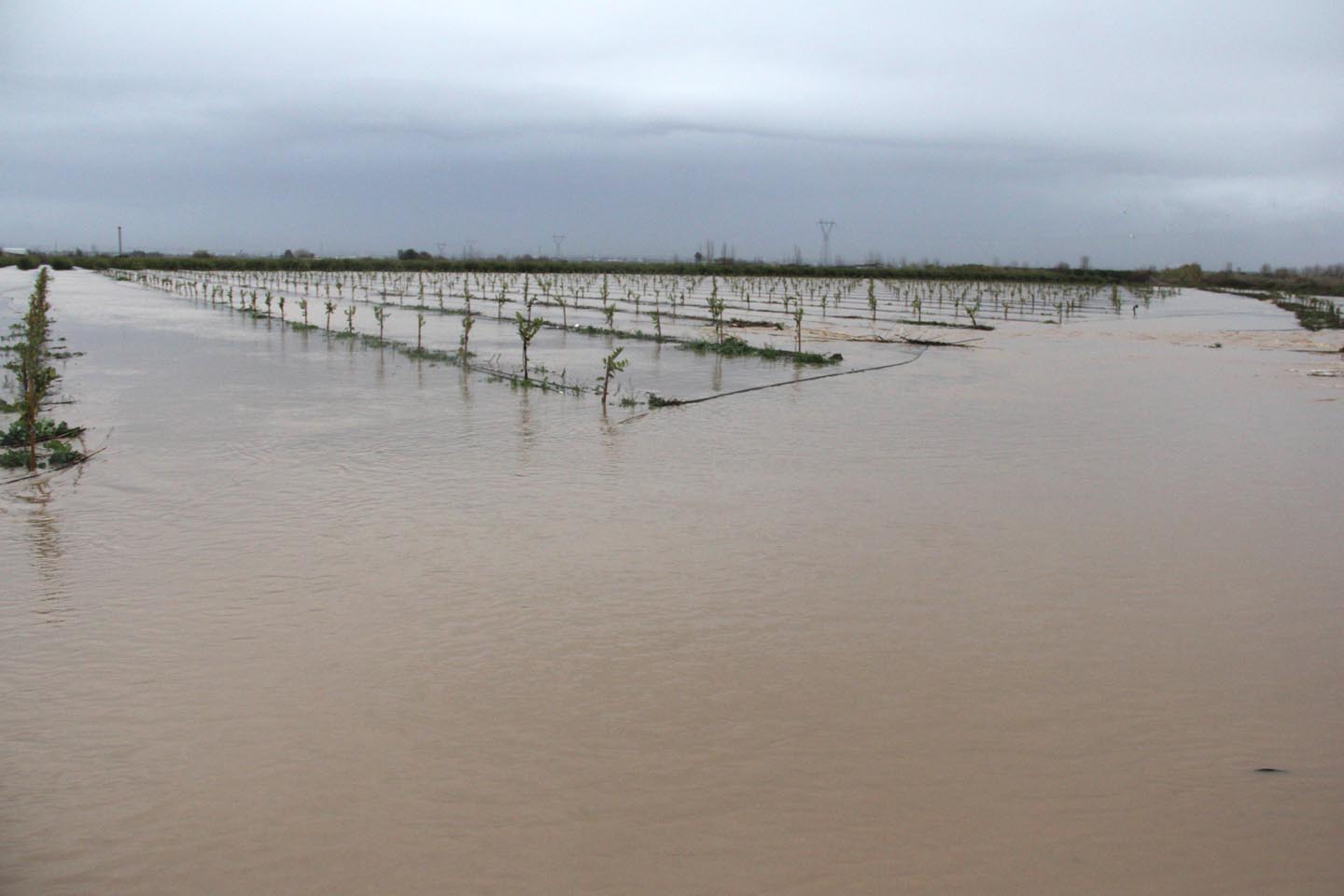 Adana Valiliğinden taşkın uyarısı