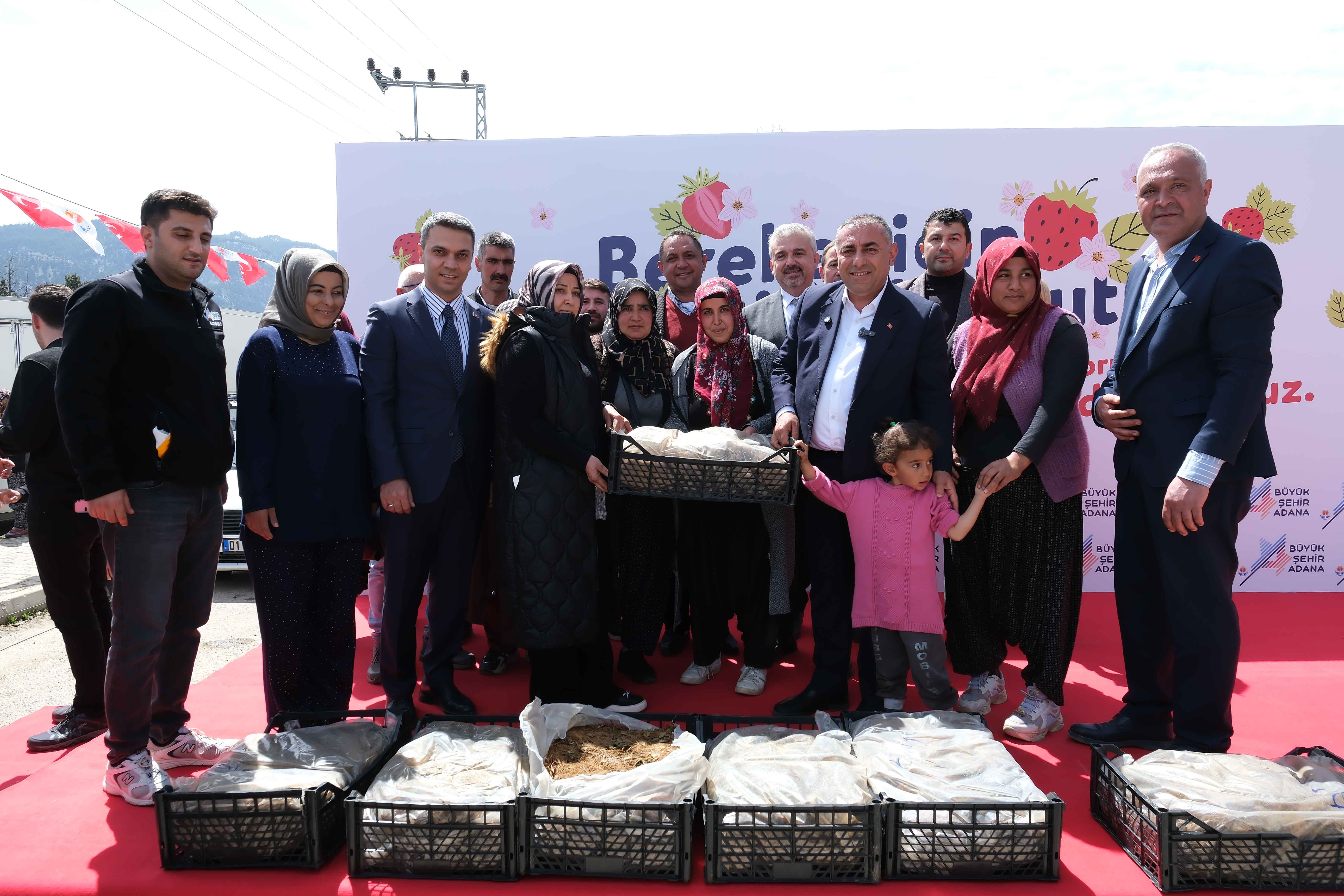 Pozantı’da üreticiye çilek fidesi desteği