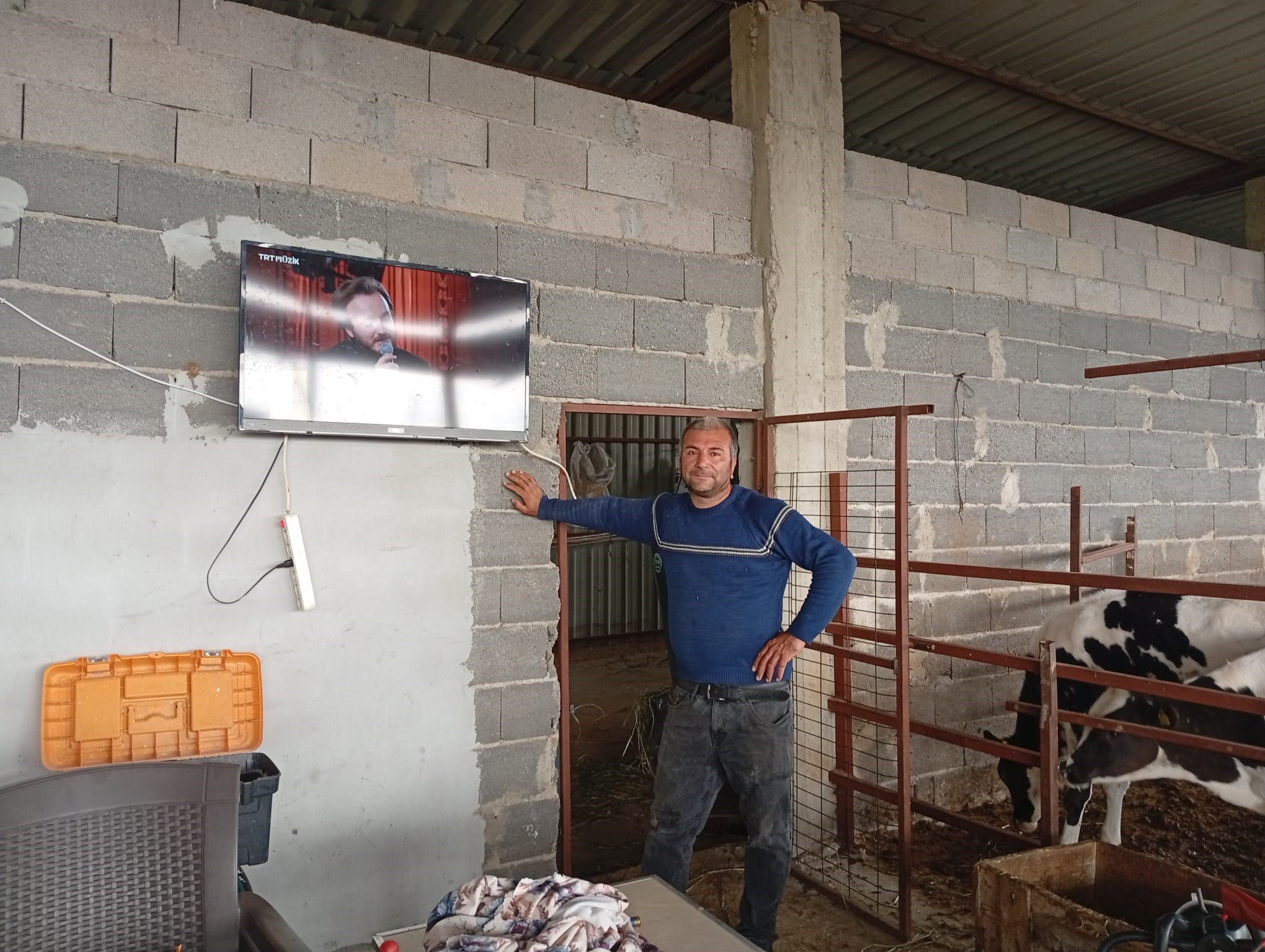 Adanalı üreticiden süt verimi için ilginç yöntem