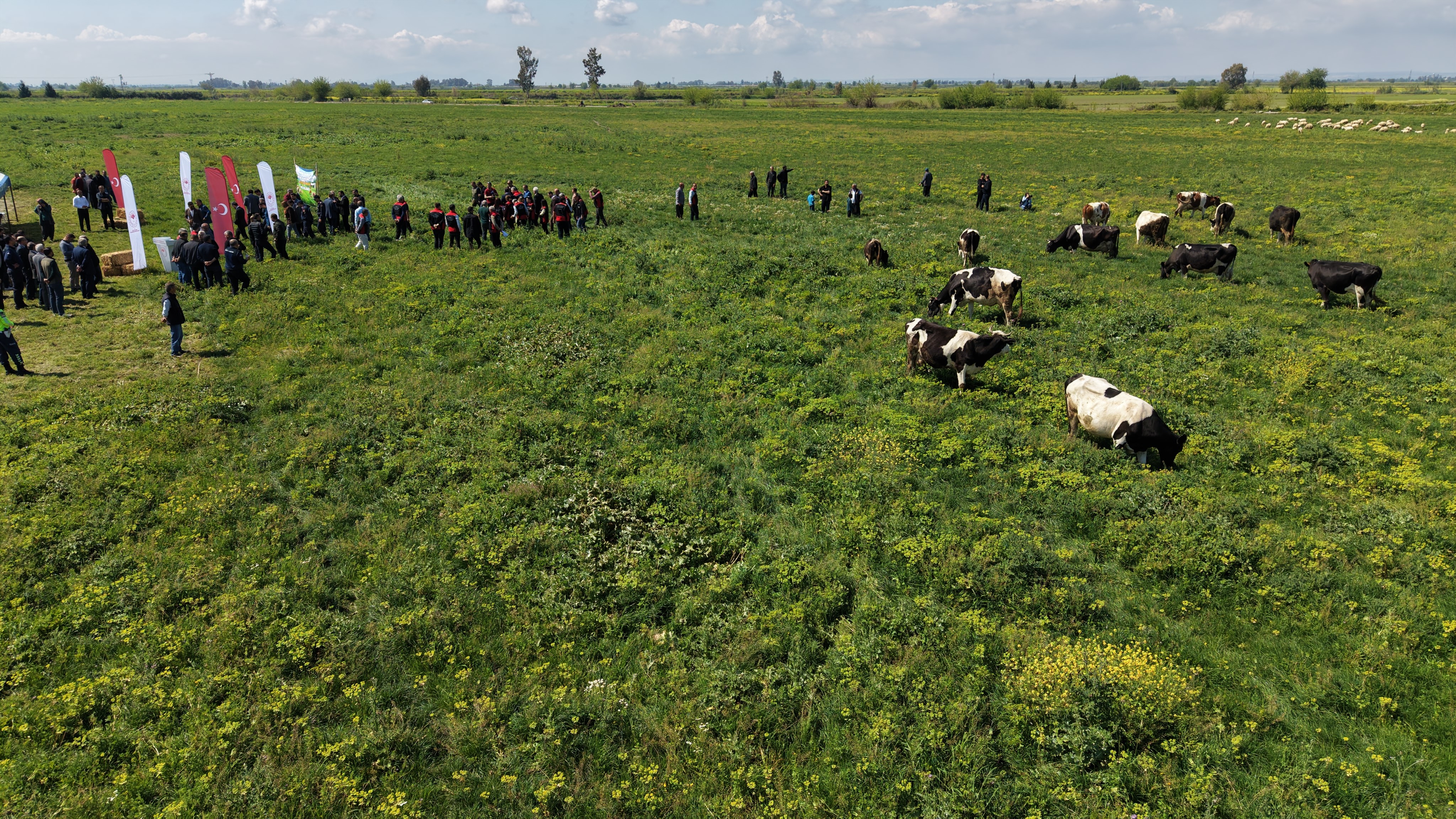 Kozan'da ıslah edilen mera alanı dualarla açıldı, sürüler alanda otlamaya başladı
