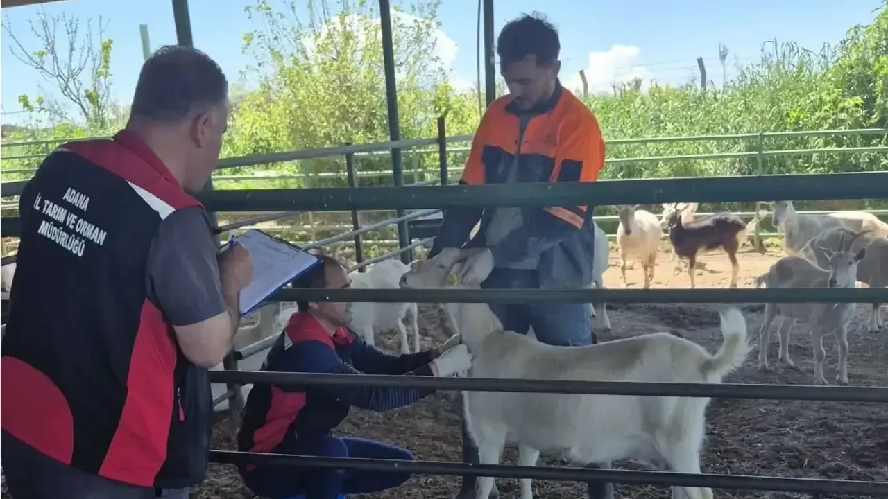 Sarıçam’da ari işletmelere sıkı denetim