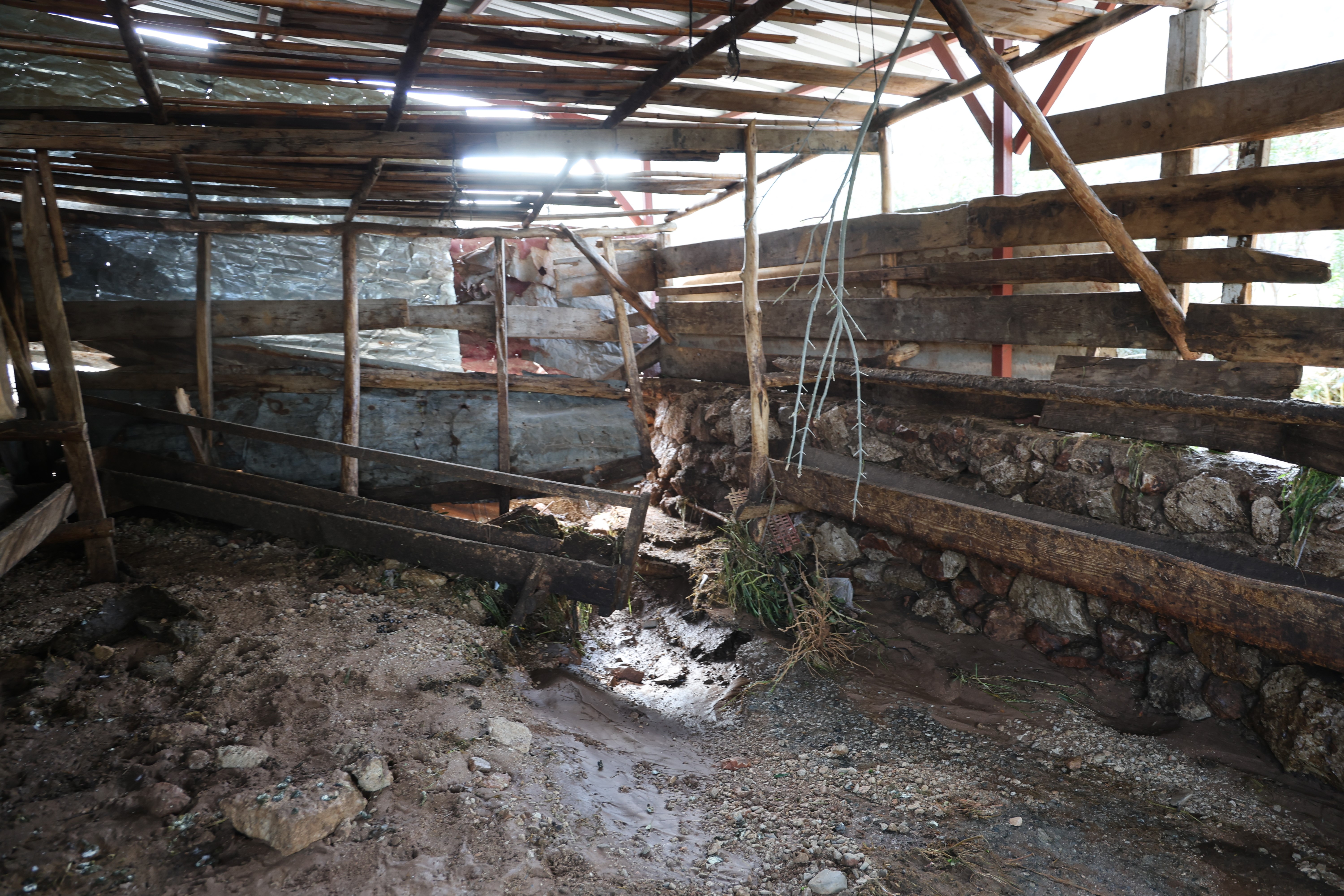 Kozan'daki selde hayvanları telef olan kadın: "Bir anda sel geldi, ahırın üstünü aştı"