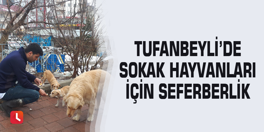 Tufanbeyli’de sokak hayvanları için seferberlik