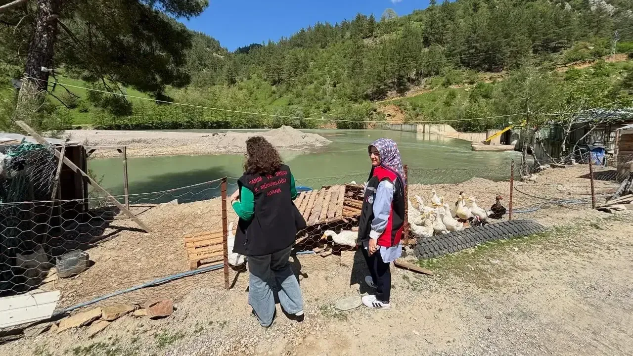 Feke’de barajlar mercek altında