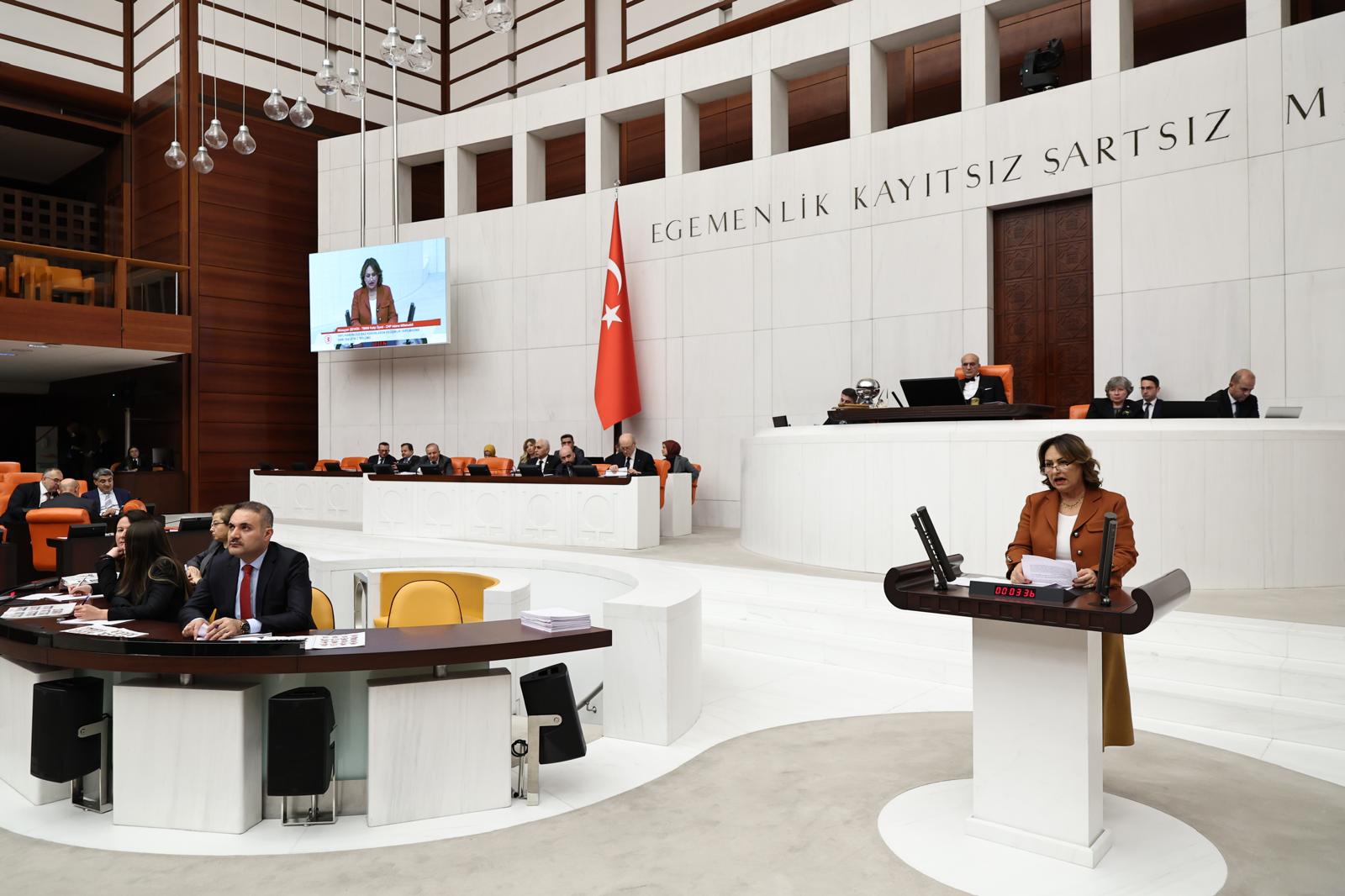 Müzeyyen Şevkin "Tapu Kanunu teklifiyle jeoloji mühendisliği yok sayılıyor!"