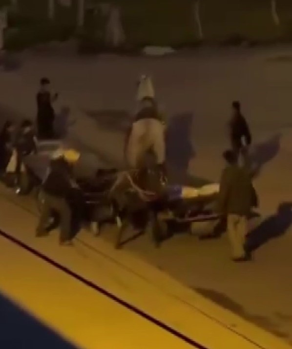 Adana'da sokak ortasında atlara işkence yapıldı