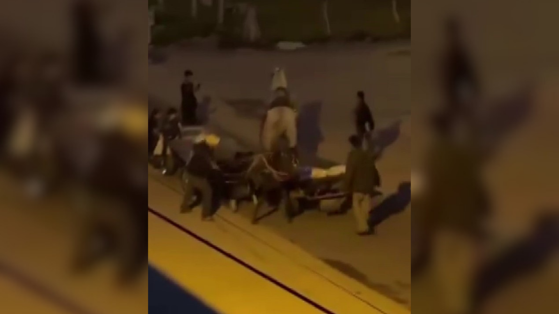 Adana’da atlara şiddet uygulayan 3 çocuk hakkında Adana Valiliği'nden açıklama