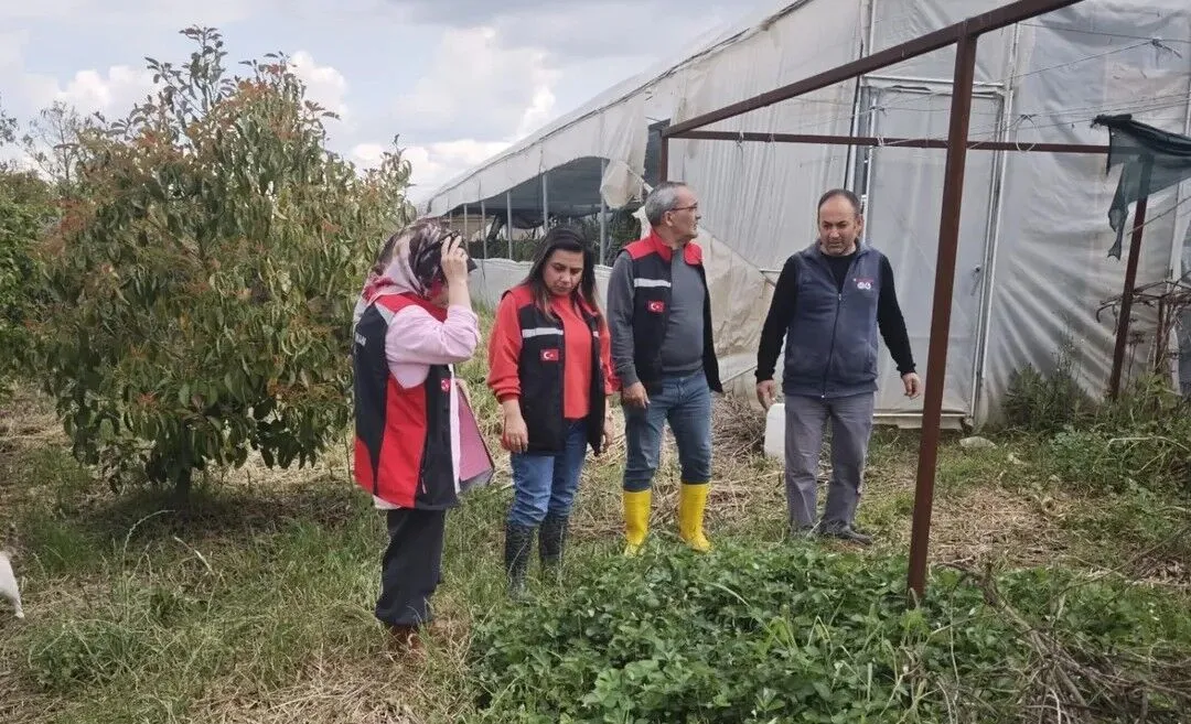 Kozan’da dolu hasarı için başvurularda son gün 11 Mayıs