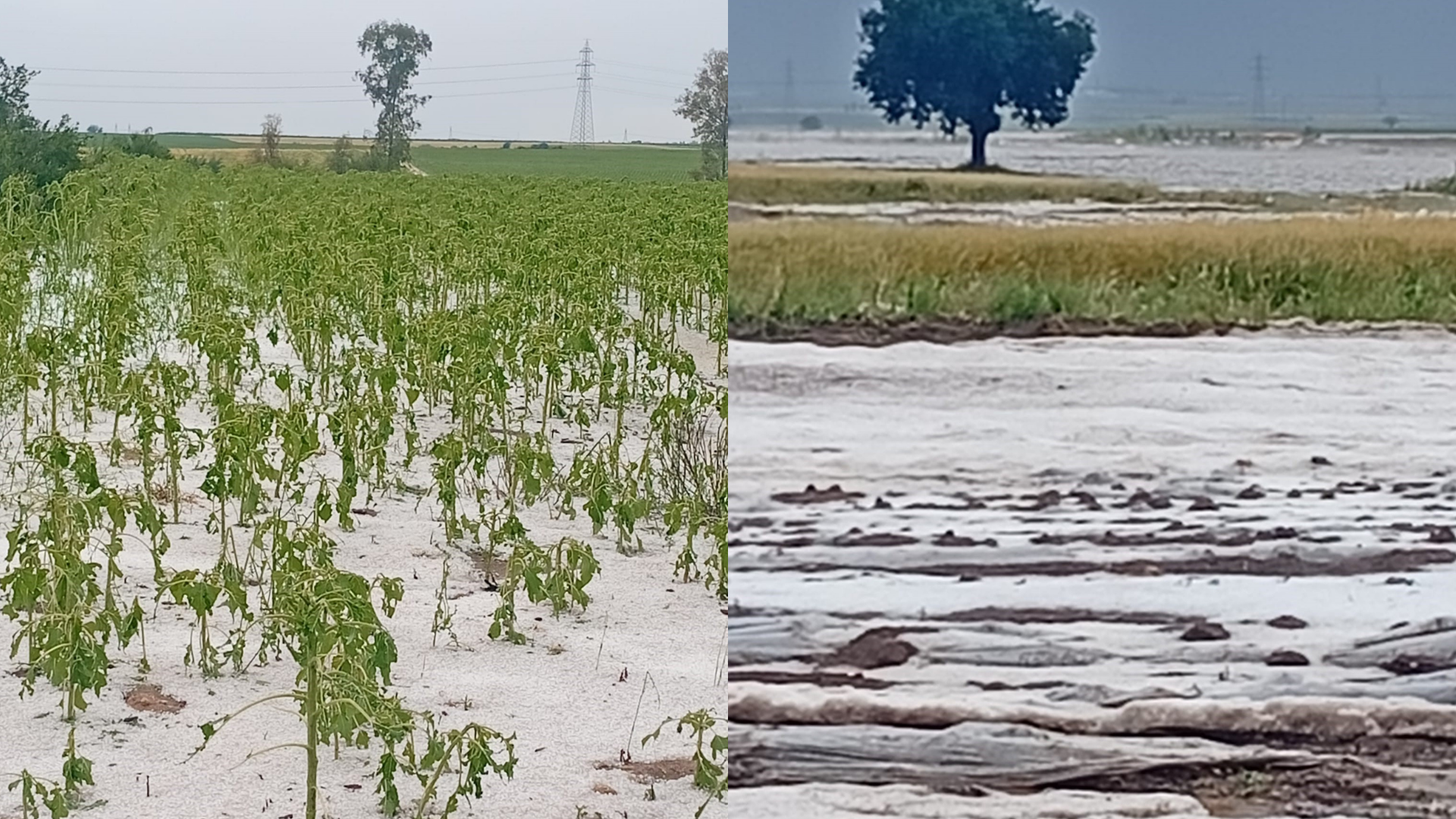 Adana’da dolu yağışı tarım arazilerine zarar verdi