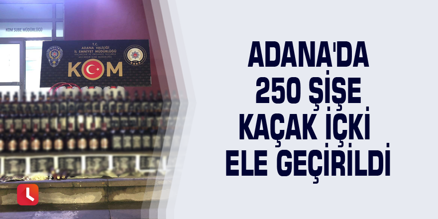 Adana'da 250 şişe kaçak içki ele geçirildi