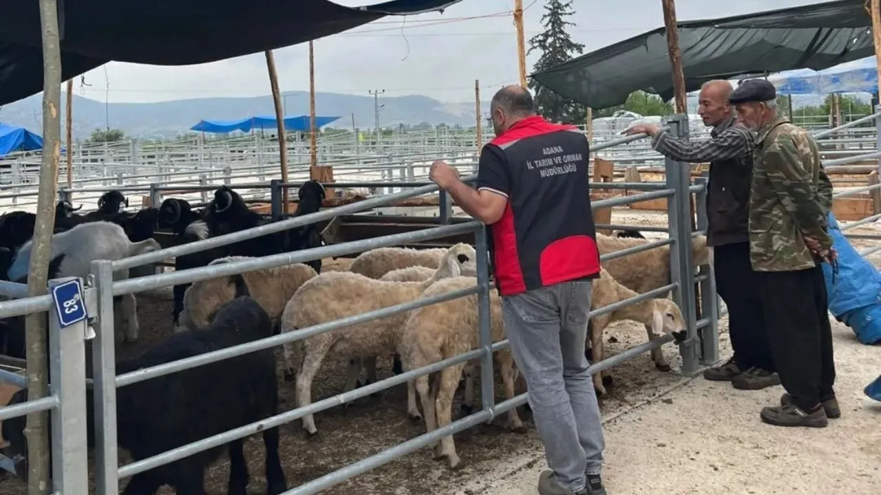 Kozan’da kurban pazarı hareketlendi, denetimler sıklaştı