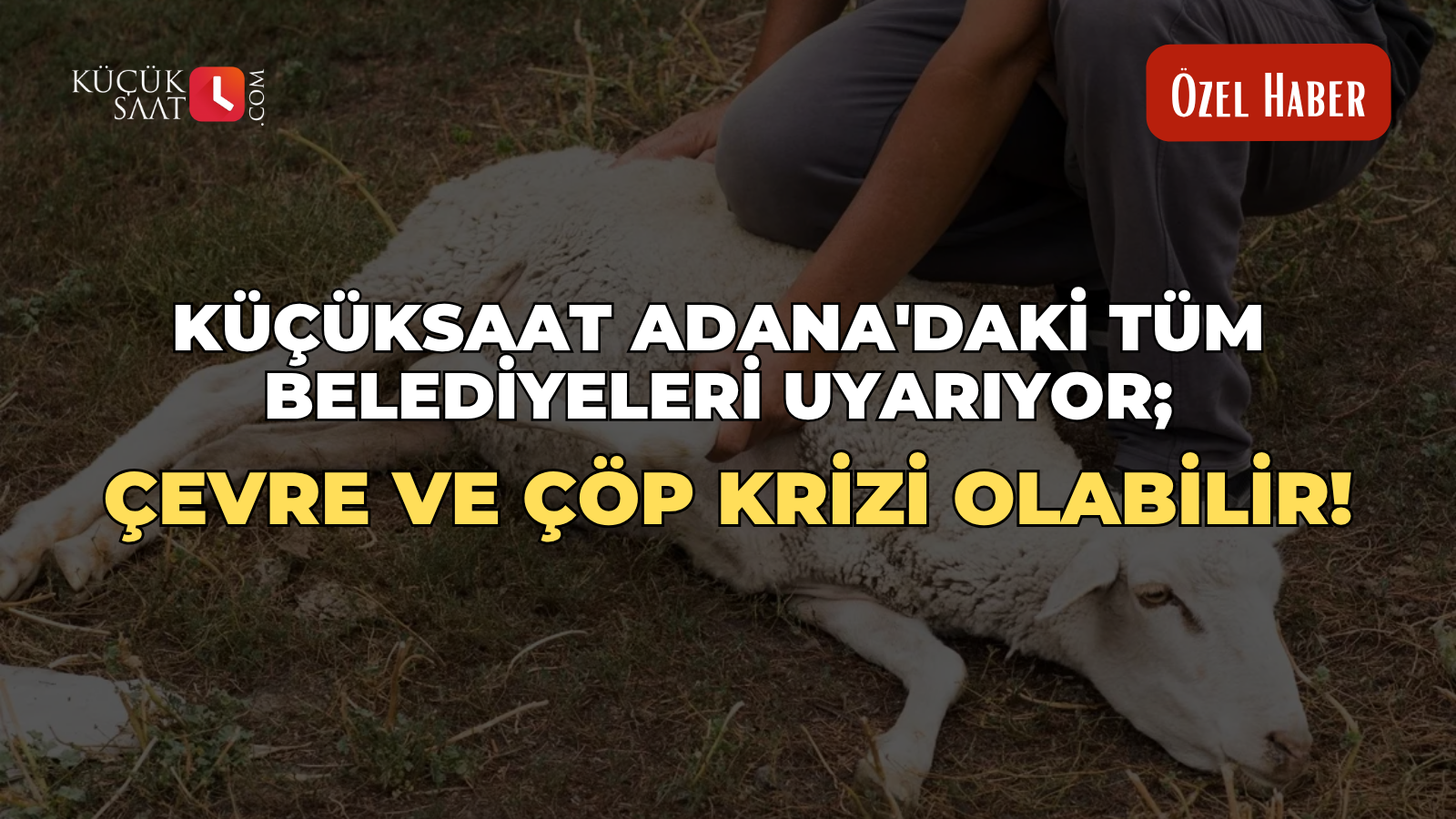 Küçüksaat Adana'daki tüm belediyeleri uyarıyor; Çevre ve çöp krizi olabilir!