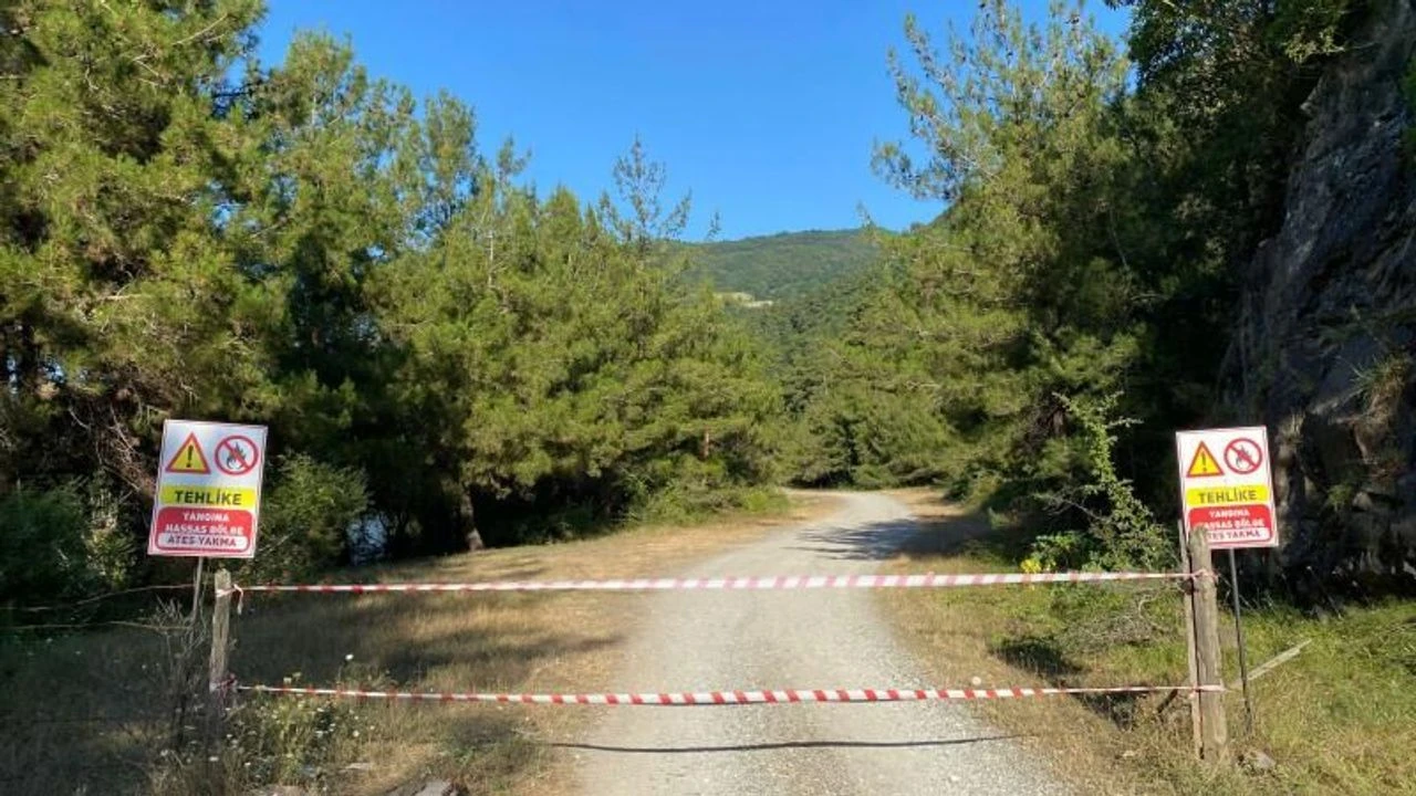 Adana'da ormanlara giriş yasağı