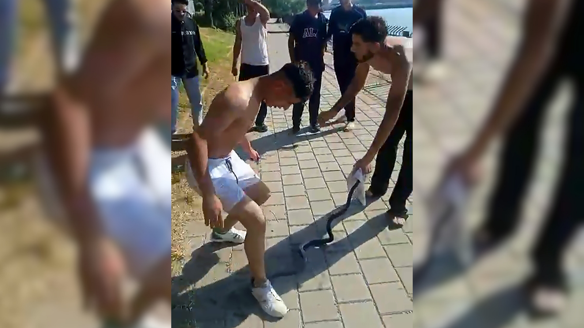 Nehirden çıkardıkları yılanın başını ezip, çakıyla keserek ö